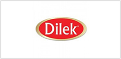 Dilek
                            