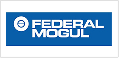 Federal Mogul
                            
