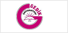 Gedik Üniversitesi
                            